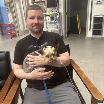 Veterinary Emergency Group - Emergency Pet Hospital Near Me - Anaheim, California Veterinary Emergency Group - Emergency Pet Hospital Near Me - Anaheim, California