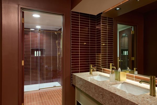 Downright Austin, A Renaissance Hotel by null