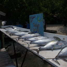 Our catch of the day! Our catch of the day!