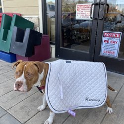 Mesa West Pet Hospital Gift Greeting Cards Email, Text or