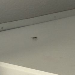 Saini Gurbax MD - Even in my addiction I didn't live with roaches. Lolllllll you got me f***** up