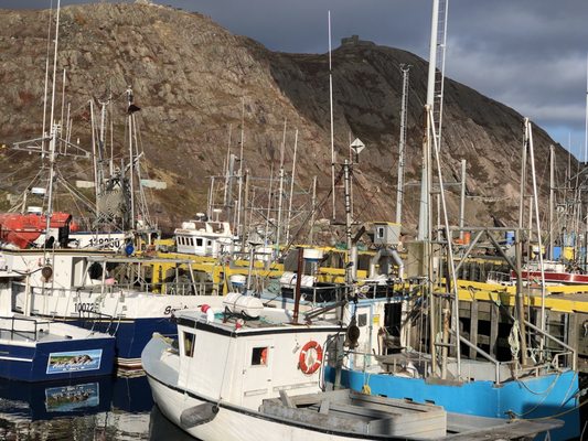 Signal Hill National Historic Site by null