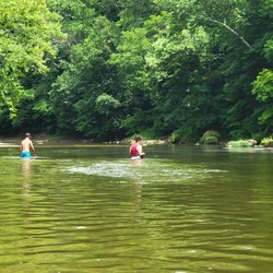 Clements Canoes Outdoor Center - They were chasing fish. The water is clear & typically not super fast moving.