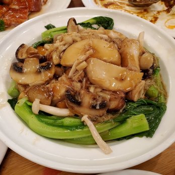 Koi Palace - Chinese Broccoli and Mushrooms with Tofu - Dim Sum Near Me - Milpitas, California Koi Palace - Chinese Broccoli and Mushrooms with Tofu - Dim Sum Near Me - Milpitas, California