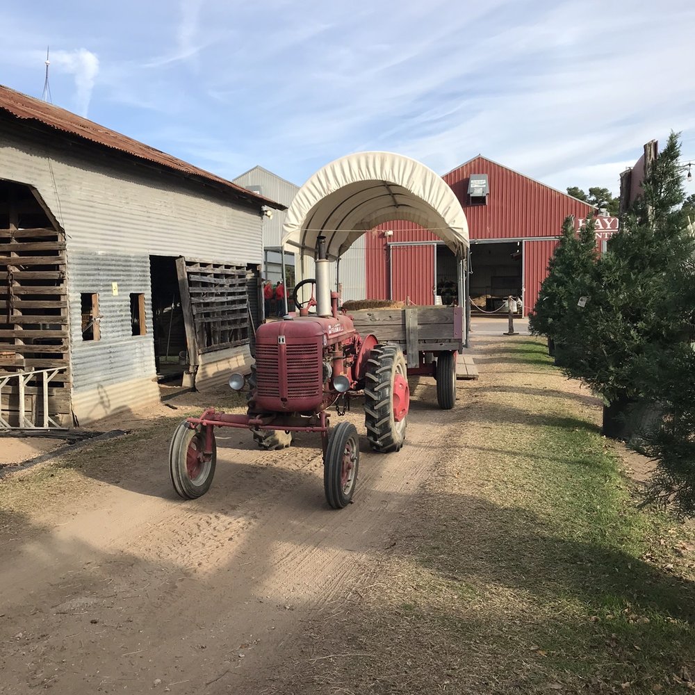 Tree Farm Houston, TX Last Updated August 2021 Yelp