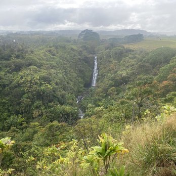 Botanical World Adventures - #8 ZipLine - the best - Botanical Gardens Near Me - Hakalau, Hawaii