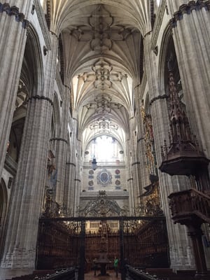 Catedral Vieja de Santa María de la Sede de Salamanca by null