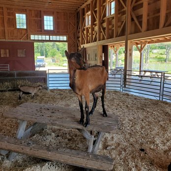 Wolfe's Neck Center - Attraction Farms Near Me - Freeport, Maine
