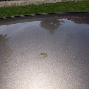 The Wash - More bird droppings even after wash (and this is the flattest part of the roof) - Car Wash Near Me - Eugene, Oregon