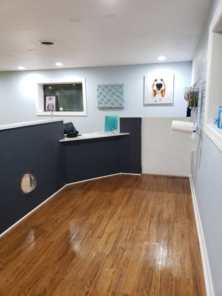 CANINE REFINED GROOMING BY KATRINA 17 Photos Pet Groomers 2410 N