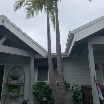 Coastal Arbor Tree Service - End result - my roof is much happier. - Tree Services Near Me Coastal Arbor Tree Service - End result - my roof is much happier. - Tree Services Near Me