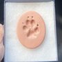 Photo of Tender Touch Small Animal Hospital