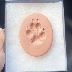Tender Touch Small Animal Hospital