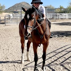Calabasas Saddlery