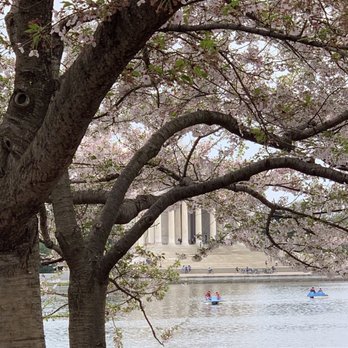 Tidal Basin - Lakes Near Me - Washington, DC, District of Columbia