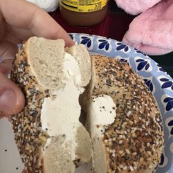 Planet Bagel - Everything CC
