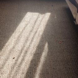 Comfort Inn & Suites Airport-American Way - Trash on the floor. If you decide to stay here after these photos, bring some flip flops. Just nasty.