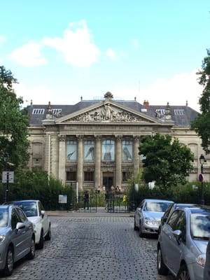 Natural History Museum by null
