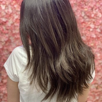 Wisteria Lane - Hair Salons Near Me - Rockville, Maryland Wisteria Lane - Hair Salons Near Me - Rockville, Maryland