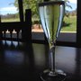Photo of Pizzini Wines