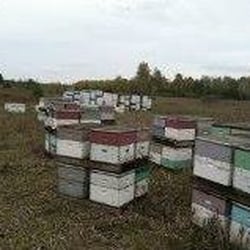 Applebee Farm