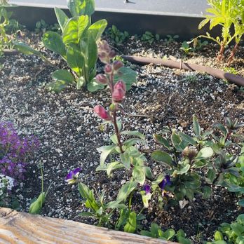 Grow + Gather - Attraction Farms Near Me - Englewood, Colorado Grow + Gather - Attraction Farms Near Me - Englewood, Colorado