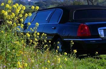 Beau Wine Tours & Charter Services by null