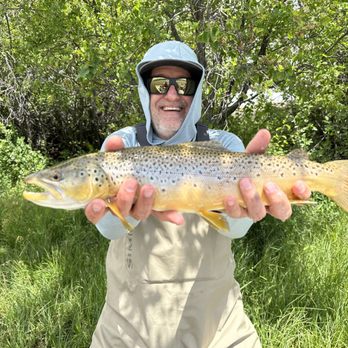 Madison River Guides, LLC - Nice Madison River Brown. - Fishing Near Me - McAllister, Montana