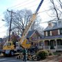 Photo of Arlington Tree Care