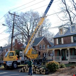 Arlington Tree Care - Crane Job on N. 18th St. Arlington, Va.