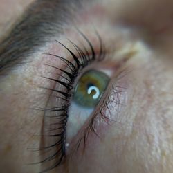 Royal Nails - Now offering lash lift + tint