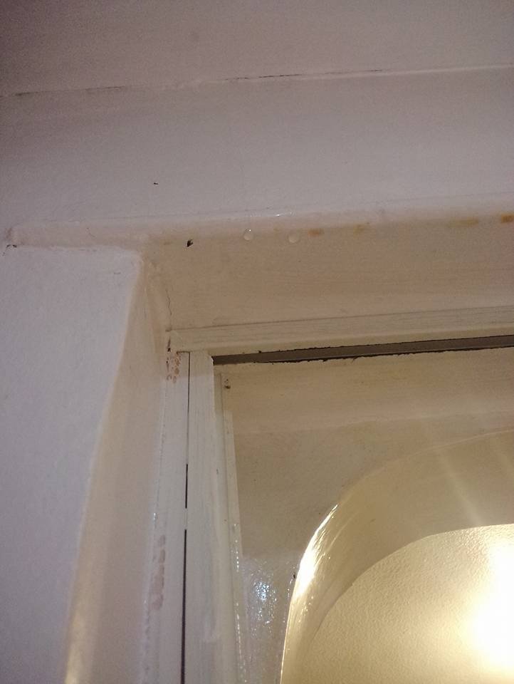 ASG ROOFING & REMODELING Updated August 2024 7743 Chestnut Ave