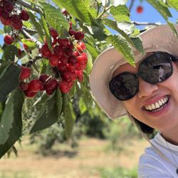 Guldseth Cherry Orchard and Vegetable Garden - Very nice cherries!