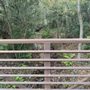 Photo of Cofrin Nature Park