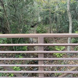 Cofrin Nature Park - Nice nature trail