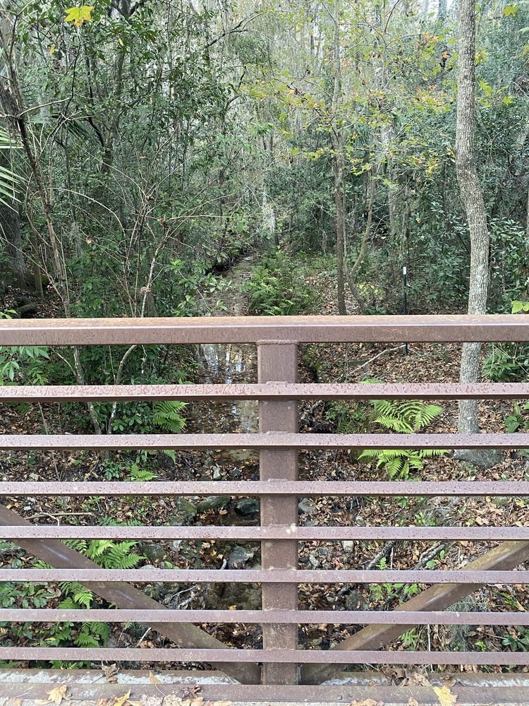 Cofrin Nature Park Image