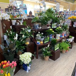 Albertsons - Flowers, plants, gifts
