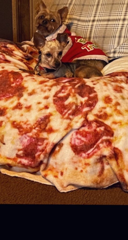 JACKIE’S DOG GROOMING Updated August 2024 5466 Sun Valley Blvd