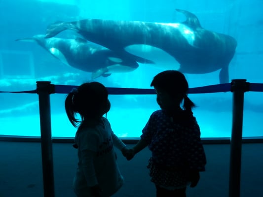 Port Of Nagoya Public Aquarium by null