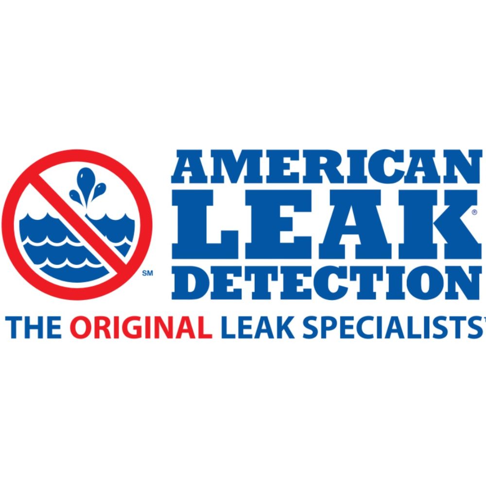 Slide of American Leak Detection