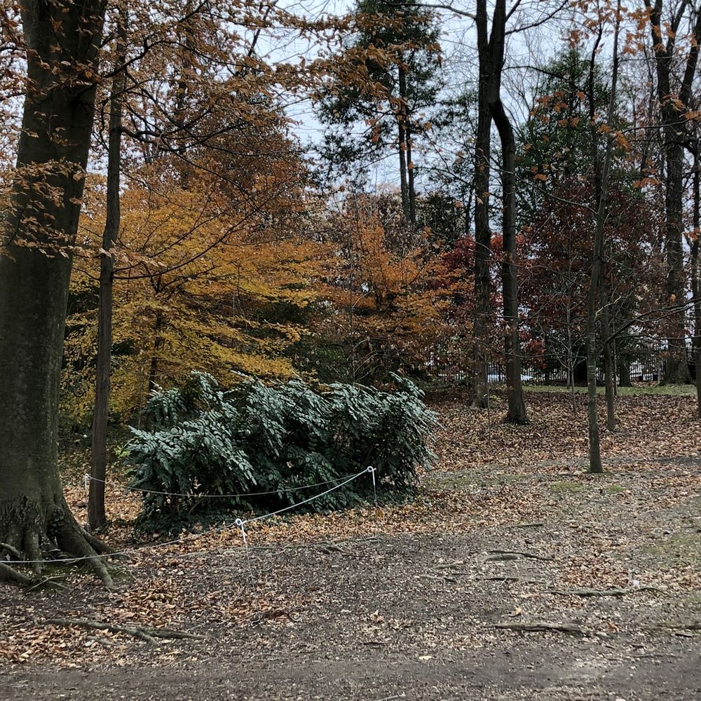 Tregaron Estate - Local Flavor Near Me - Washington, DC, District of Columbia