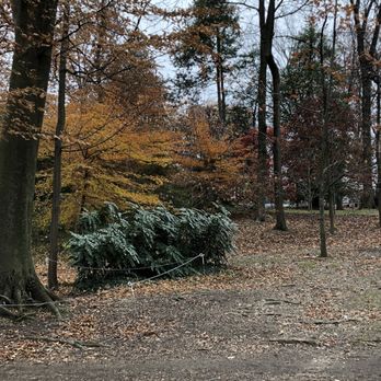 Tregaron Estate - Local Flavor Near Me - Washington, DC, District of Columbia