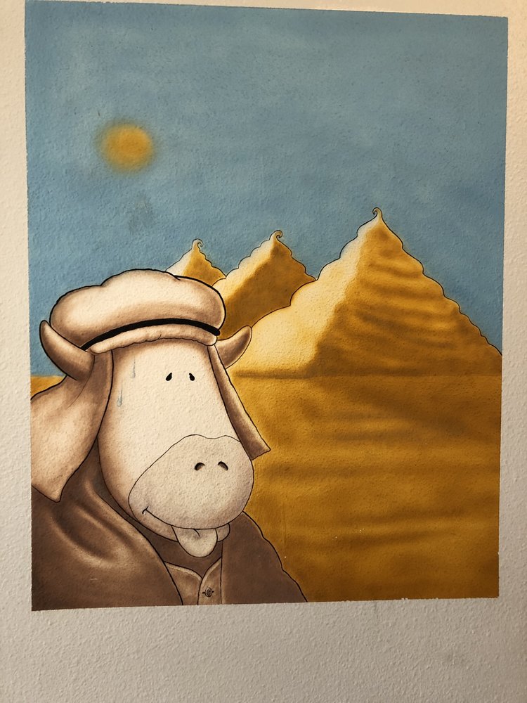 ROCKIE’S FROZEN YOGURT Updated September 2024 639 Photos & 709