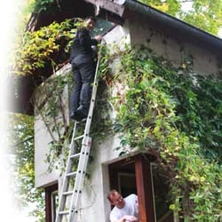 ESK-Kindertagesstätte - Bei einer Elterninitiative helfen die Eltern gut gelaunt mit. Hier: Fensterstreichen.
