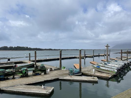 Kelly's Brighton Marina & Campground by null