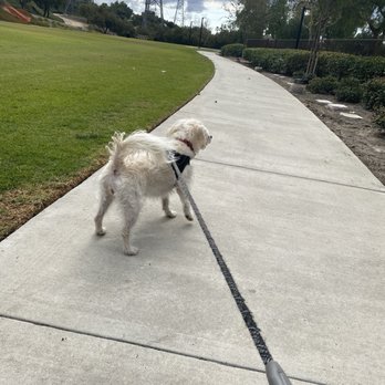 Wagsdale Dog Park - Beautiful walkway to parking lot - Dog Parks Near Me - Ladera Ranch, California Wagsdale Dog Park - Beautiful walkway to parking lot - Dog Parks Near Me - Ladera Ranch, California
