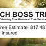 Branch Boss Tree