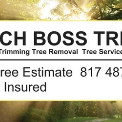 Branch Boss Tree