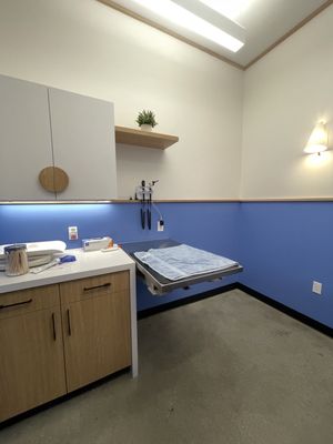 Modern Animal by null