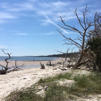 Big Talbot Island State Park - Parks Near Me - Jacksonville, Florida Big Talbot Island State Park - Parks Near Me - Jacksonville, Florida